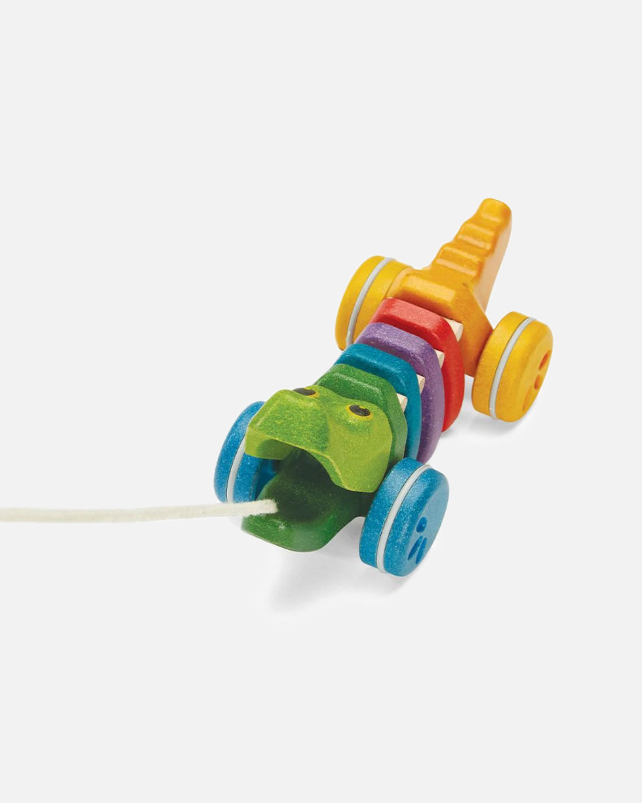 Rainbow Alligator