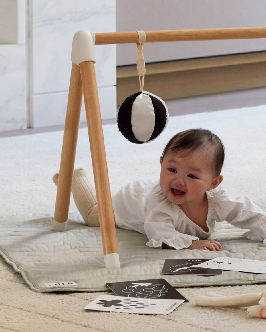 Sensory Ball