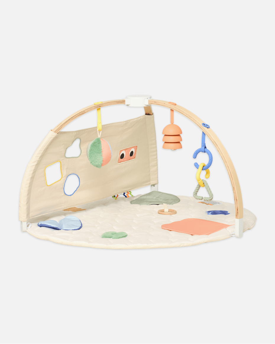 The Play Gym II