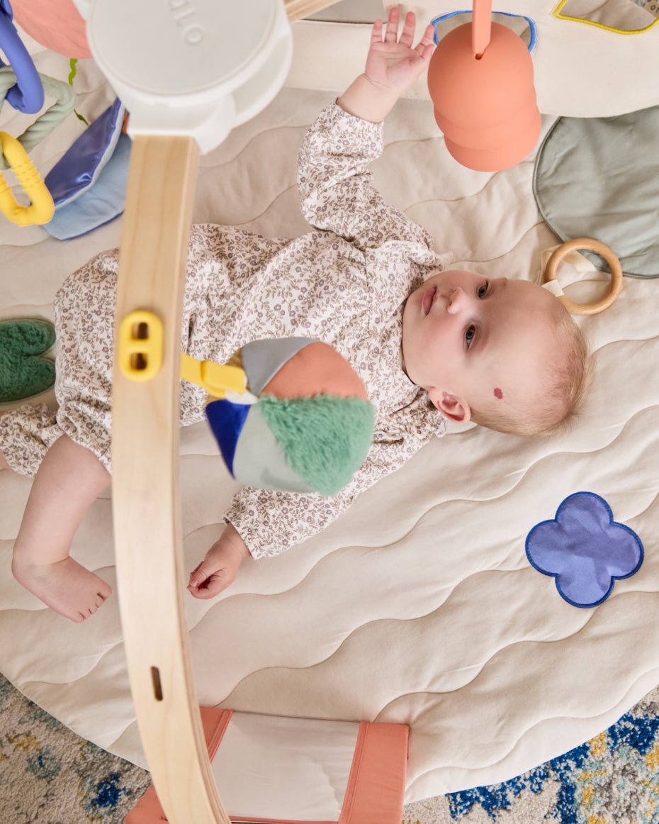The Play Gym II