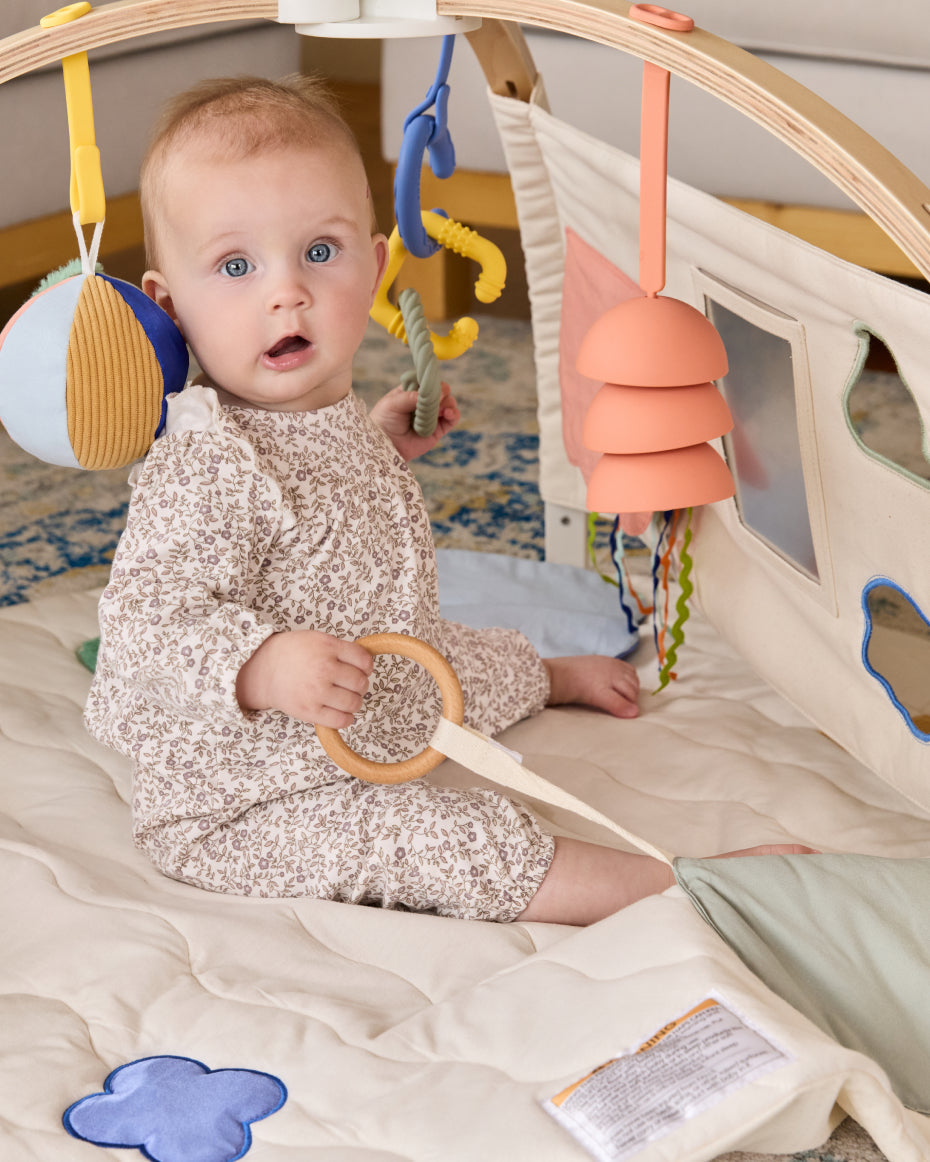 The Play Gym II