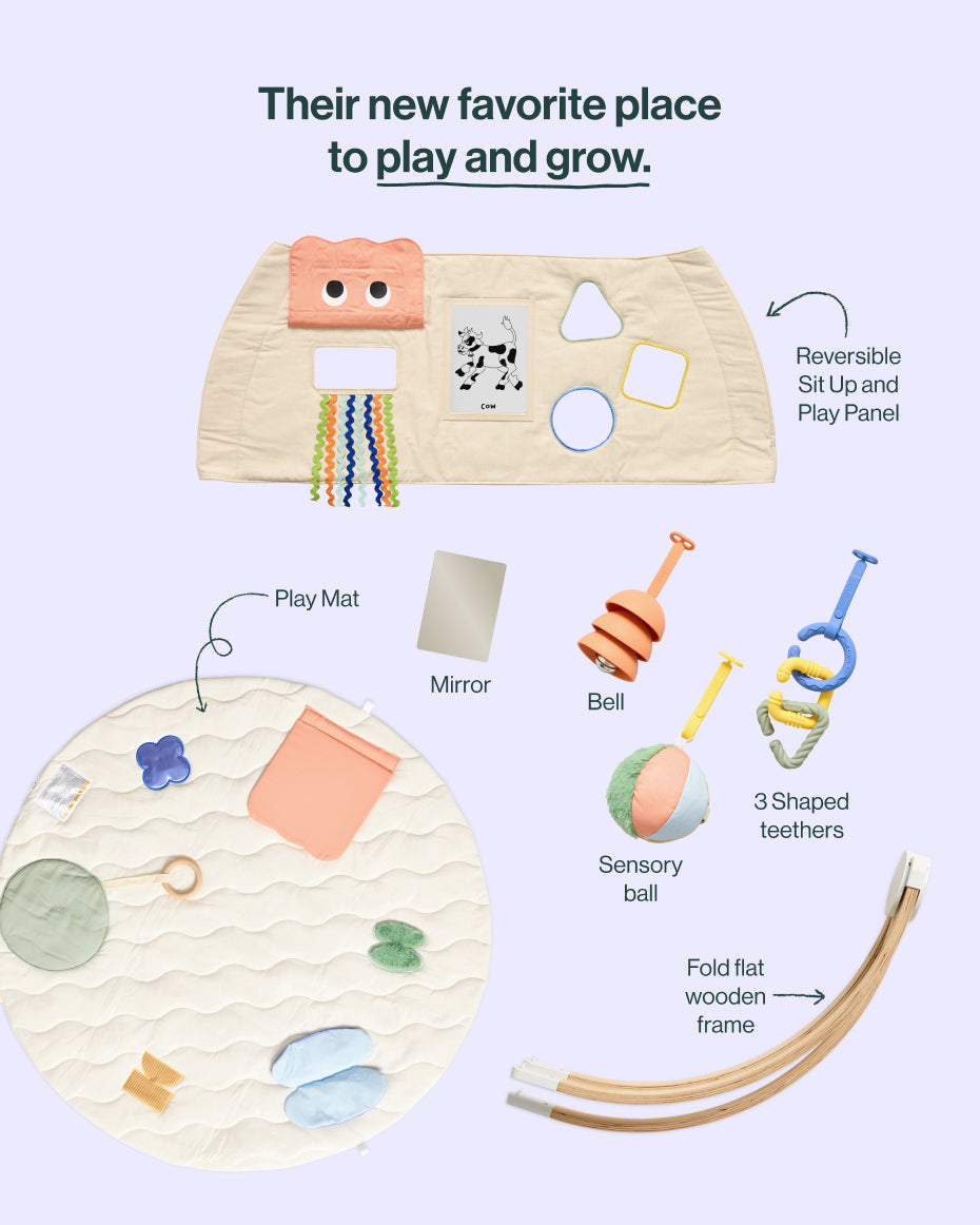 The Play Gym II