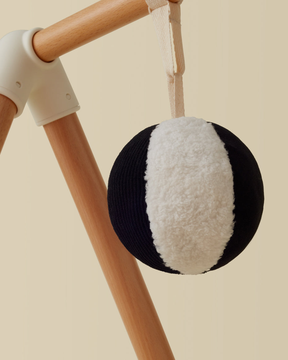 The Play Gym