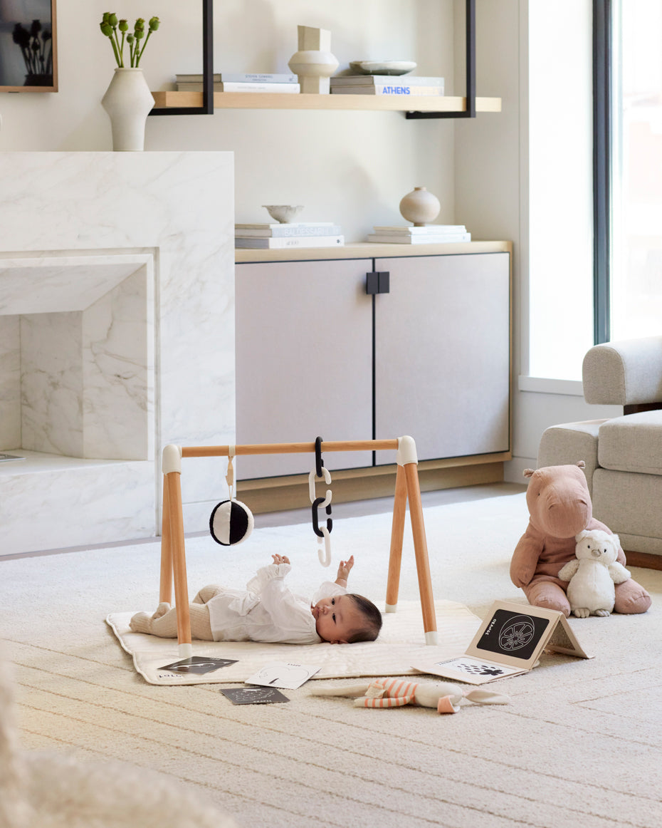 The Play Gym