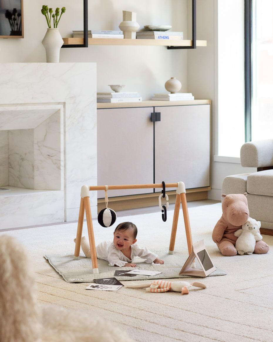 The Play Gym